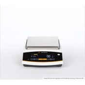 Sartorius Entris® II, Balance